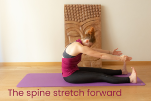 mal di schiena esercizi